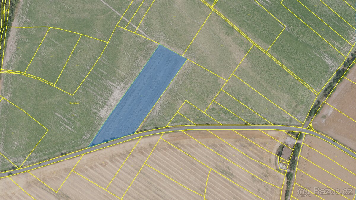 Prodám ornou půdu na k.ú. Kostelní Hlavno