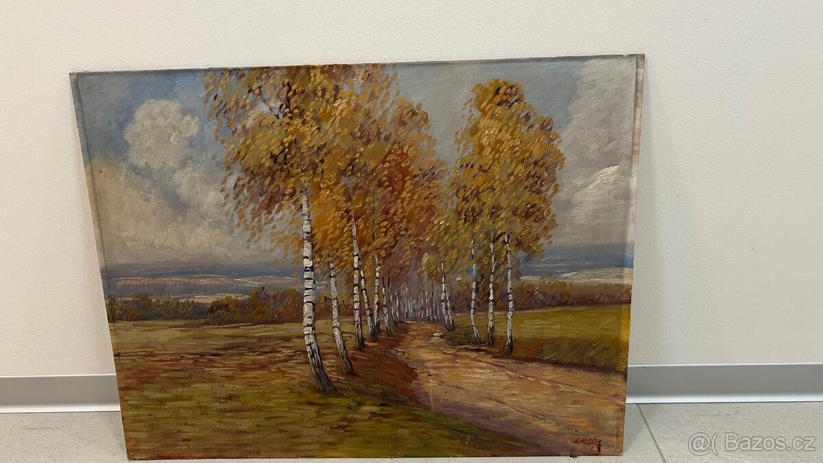 Břízka se k břízce naklání