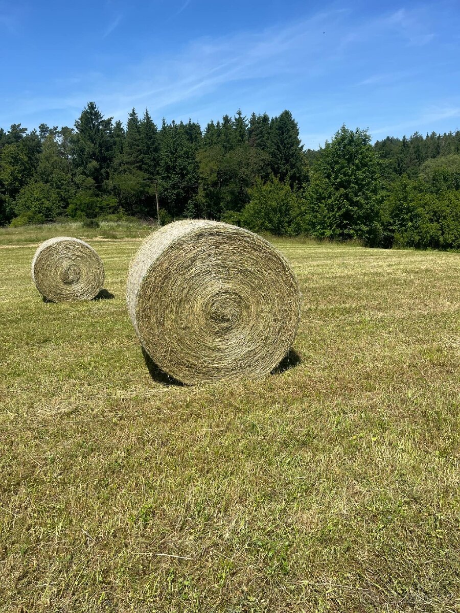 Letošní seno
