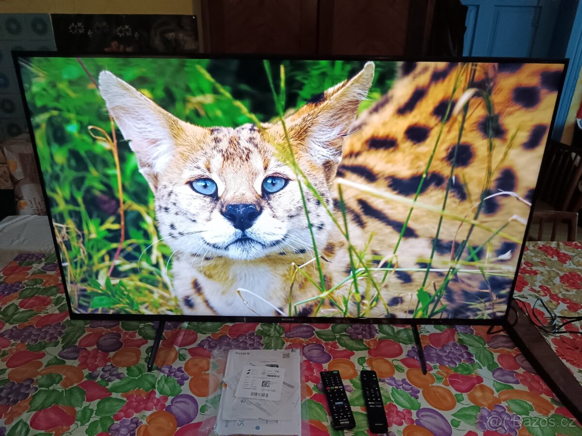 Televize Sony Bravia XR-50X90S,126 cm,4K Ultra HD