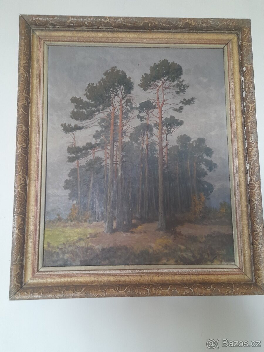 Obraz plátno malíř Karel Havláta