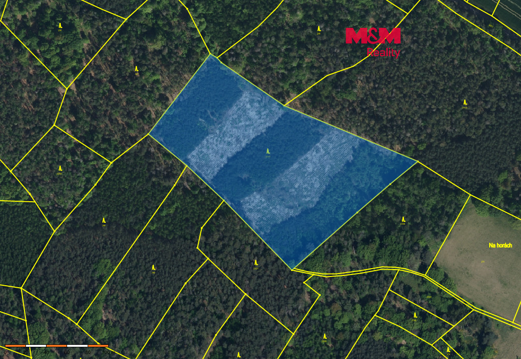 Prodej lesa, 24923 m², Jankovice