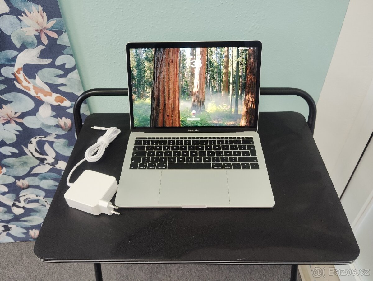 MacBook Pro 2017 | 16 RAM | 256 ssd