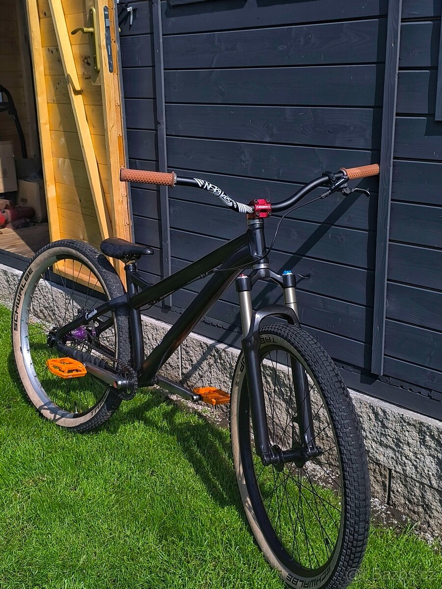 Dirt Jump Specialized P3
