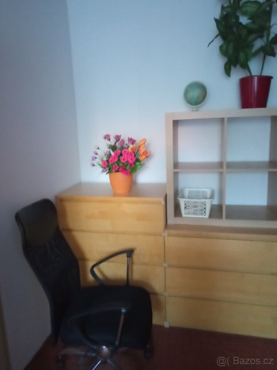 Pronájem 1 pokoje