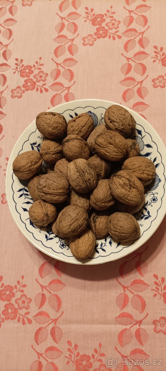 Vlašské ořechy neloupané 6 kg