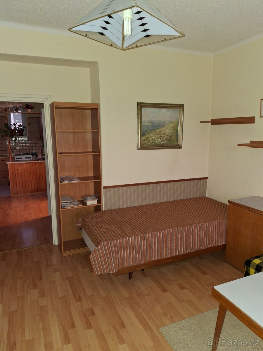 Byt 1+1,Nové Město na Moravě
