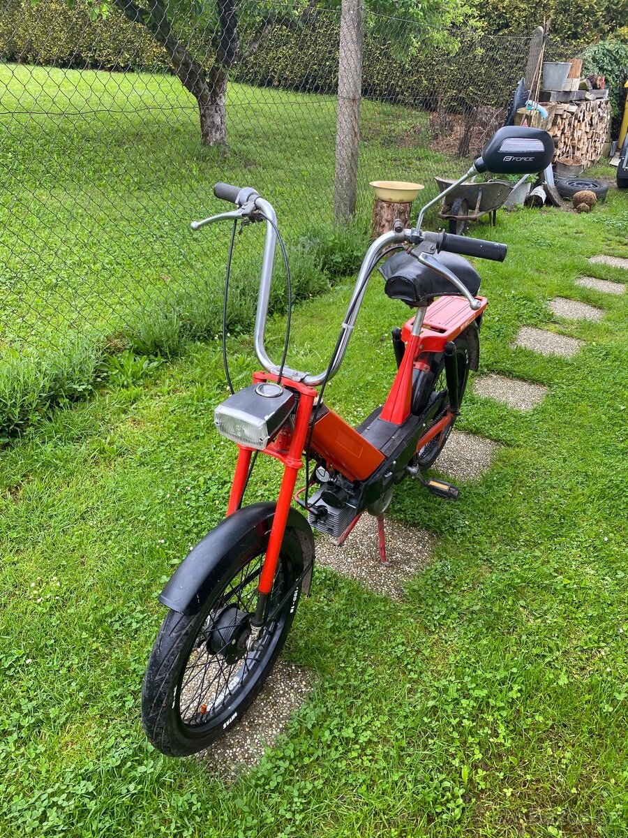 Babeta 207