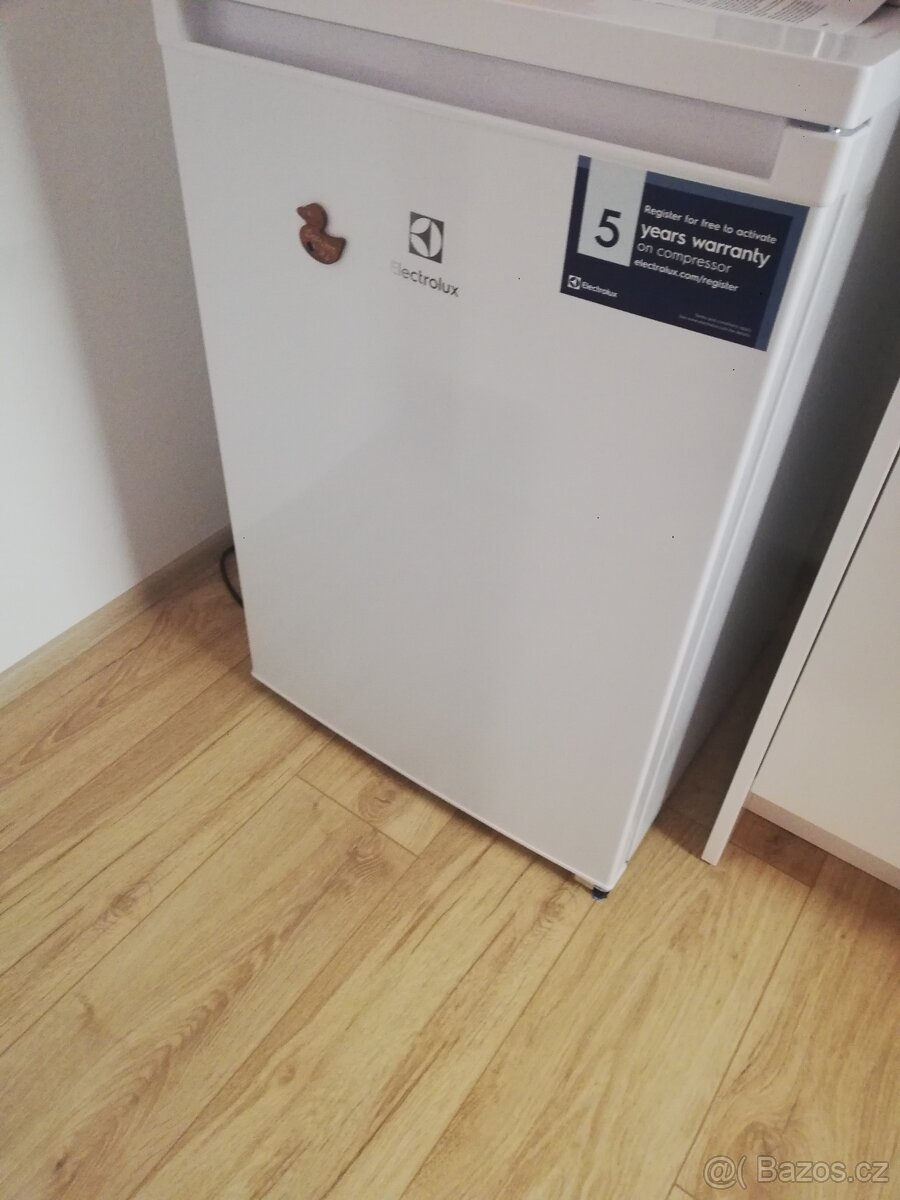 Lednička s mrazicí přihrádkou Electrolux