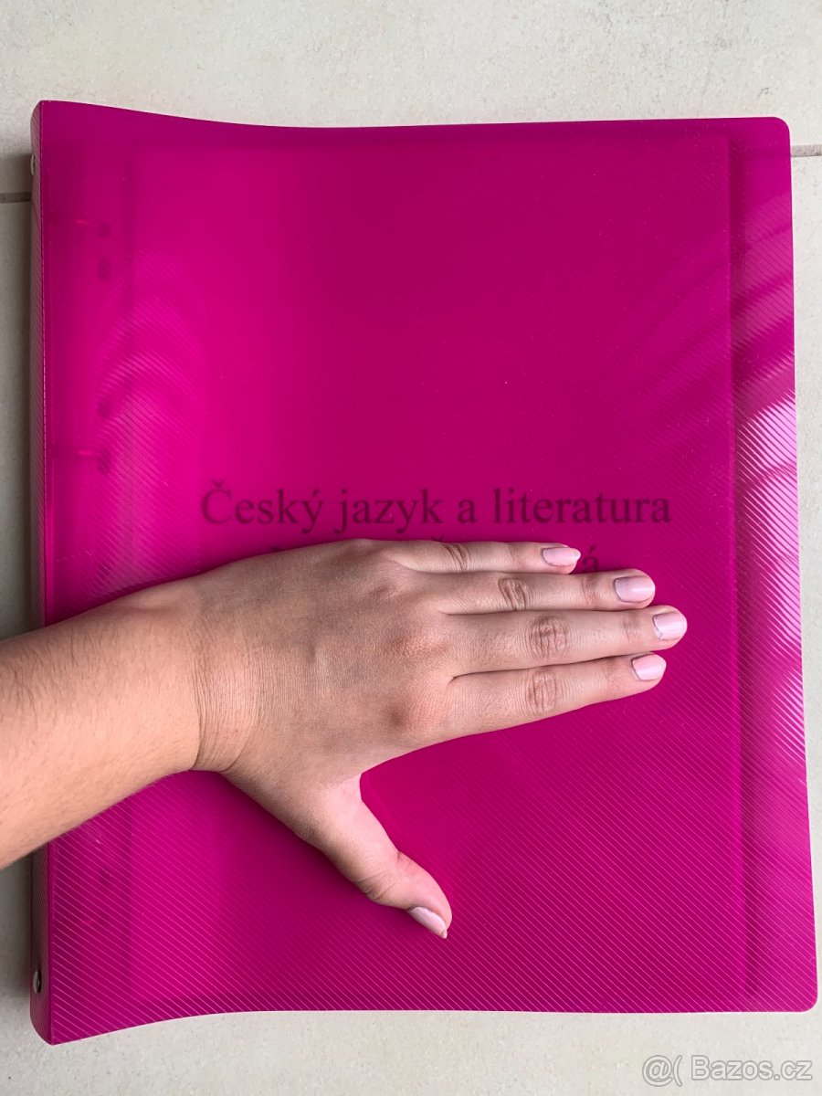 Maturitní otázky do českého jazyka (20 knih)