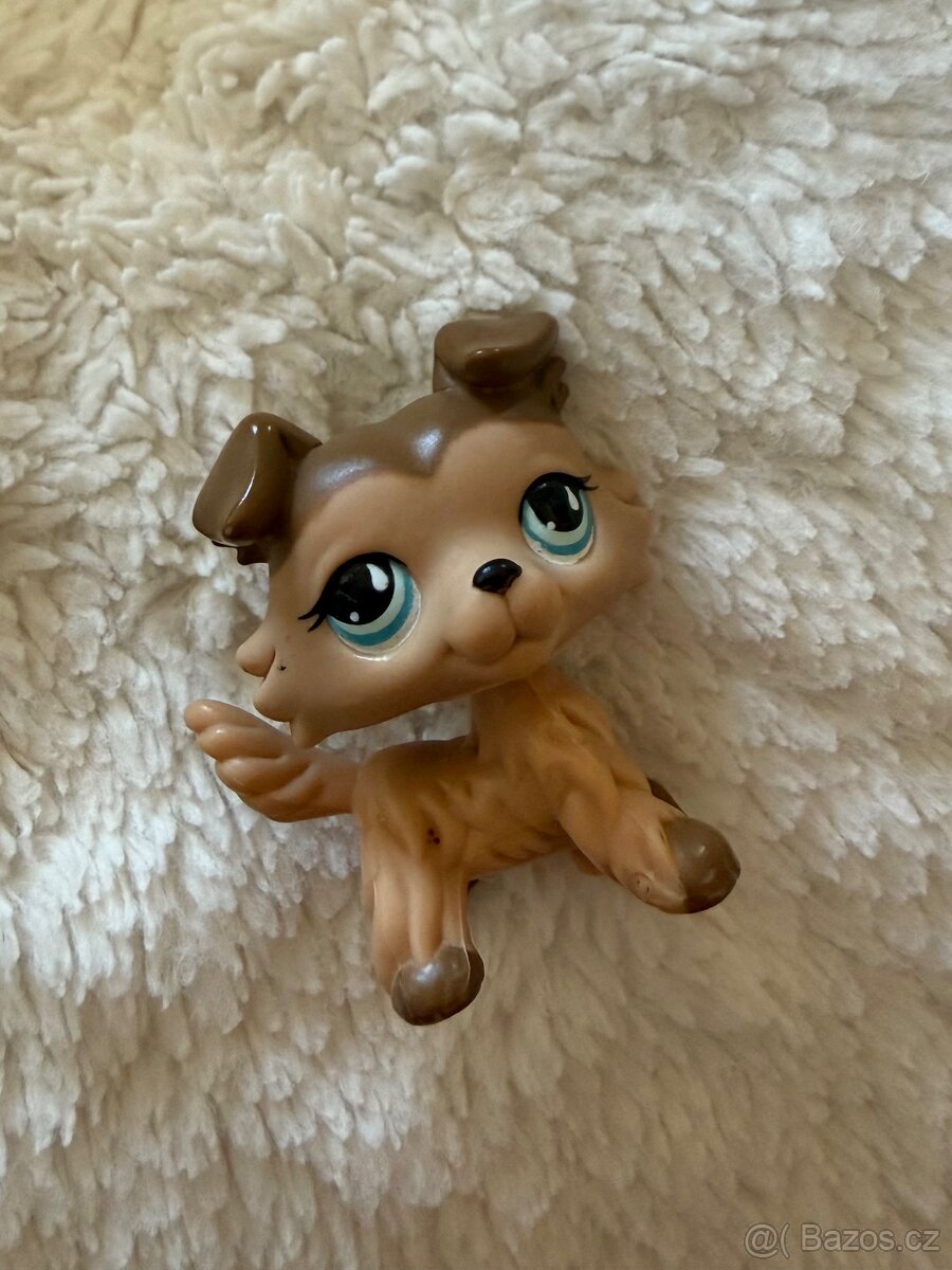 LPS Collie