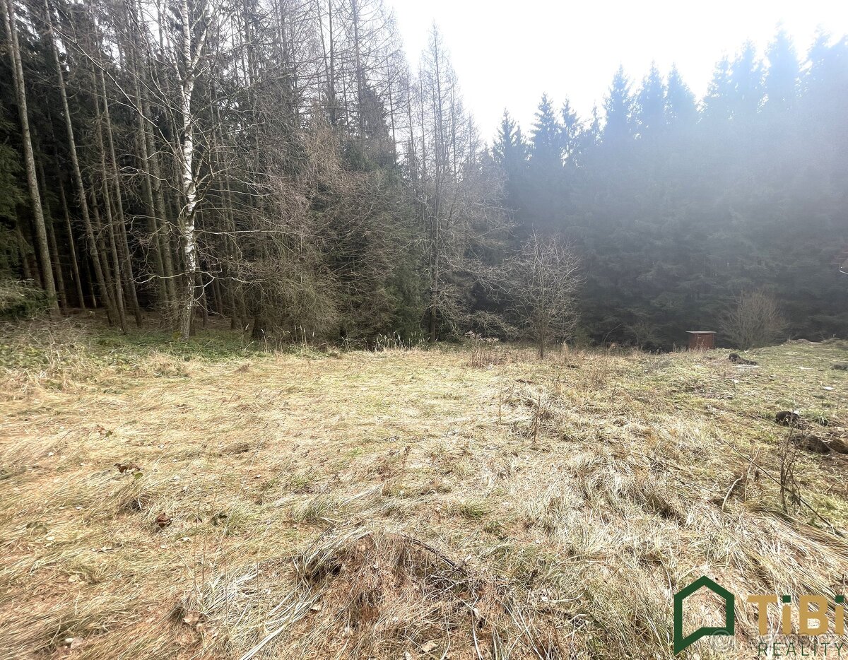 Prodej, Pozemky pro bydlení, 1.753 m2 - Gruna - Žipotín