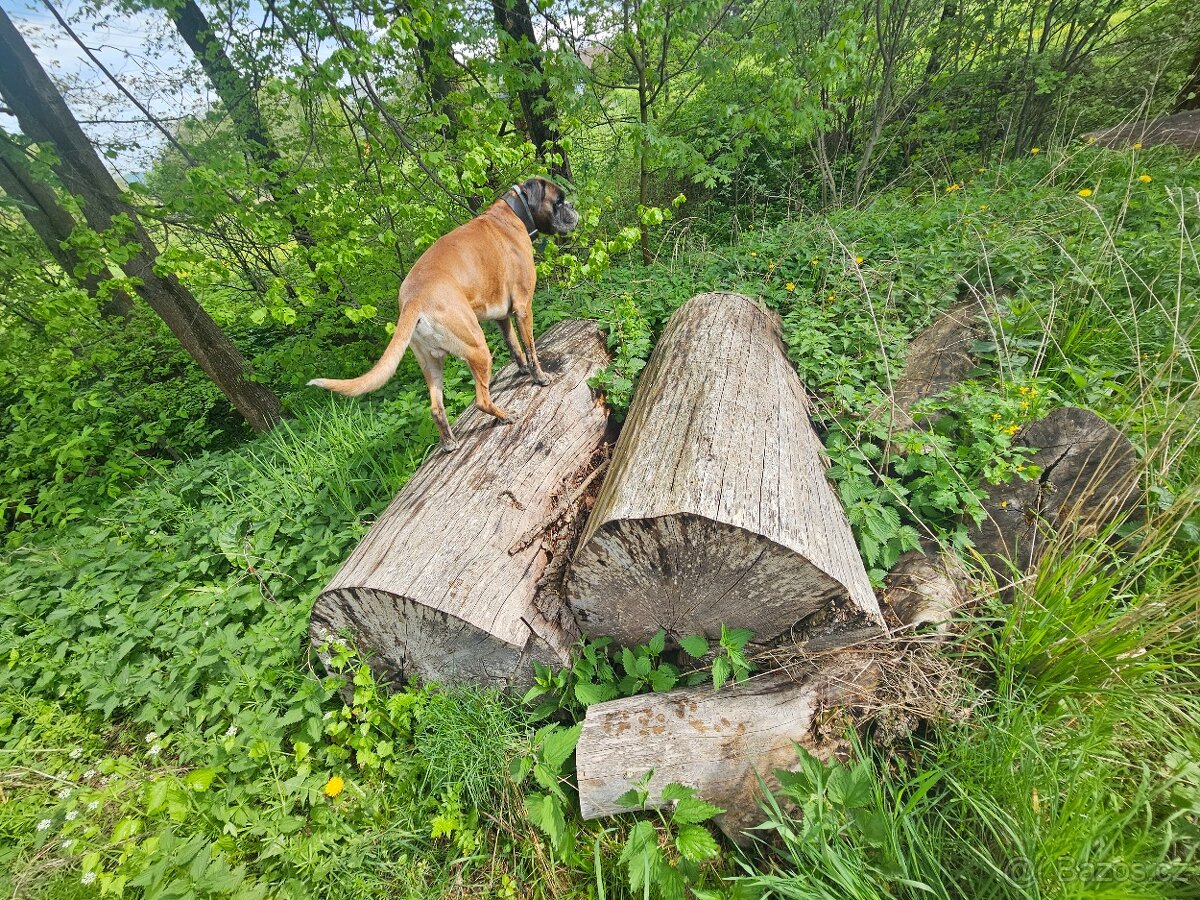 Drevo palivo zahradni nabytek Jasan Liberec