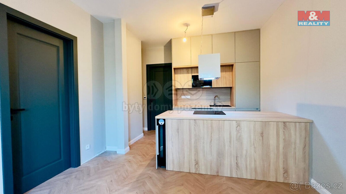 Pronájem bytu 2+kk, 54 m², Opava, ul. Riegrova