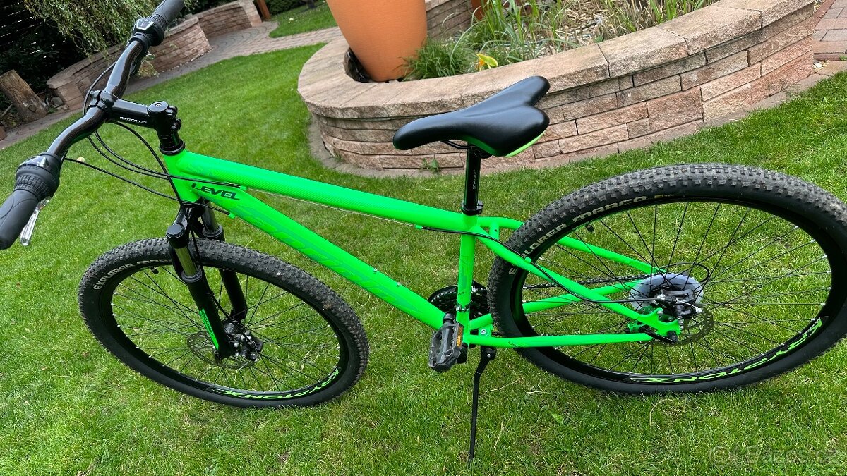 Capriolo 29”