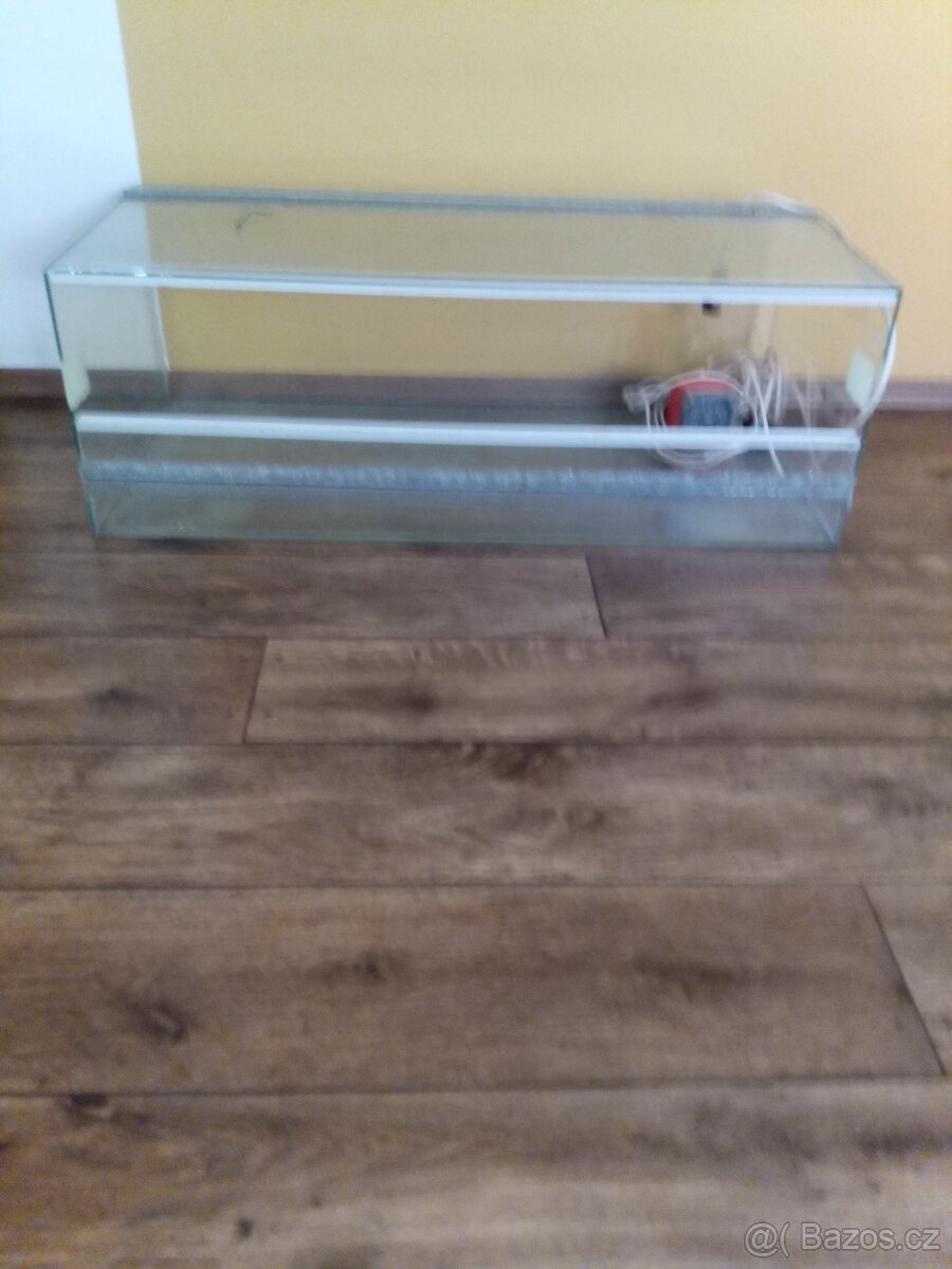 Terarium