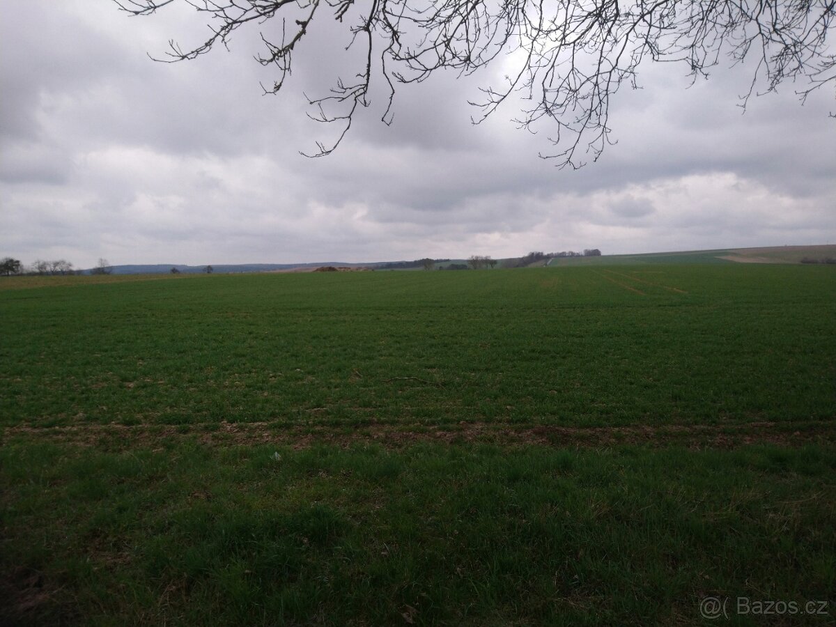Pole 10 ha Kaceřov Plzeň-sever