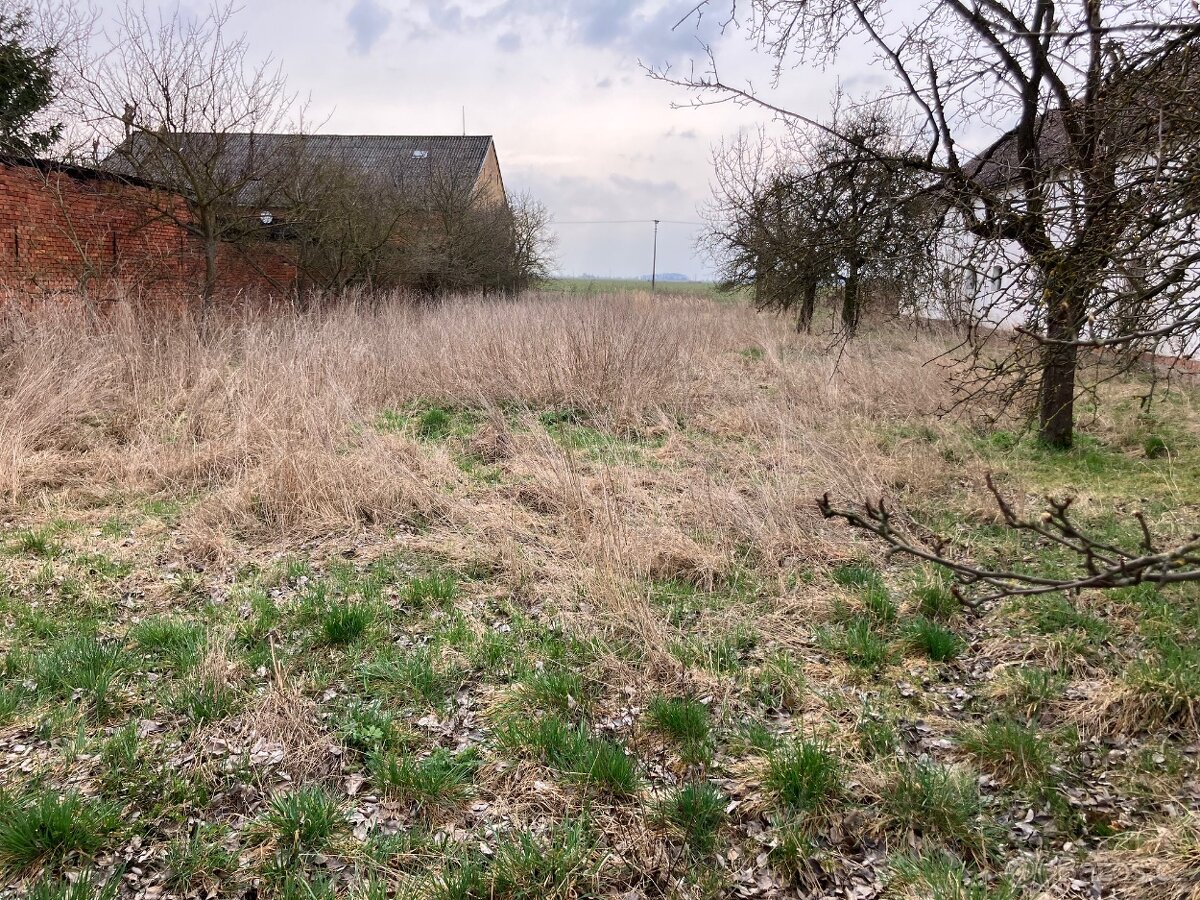 Pronájem zahrady u Uničova