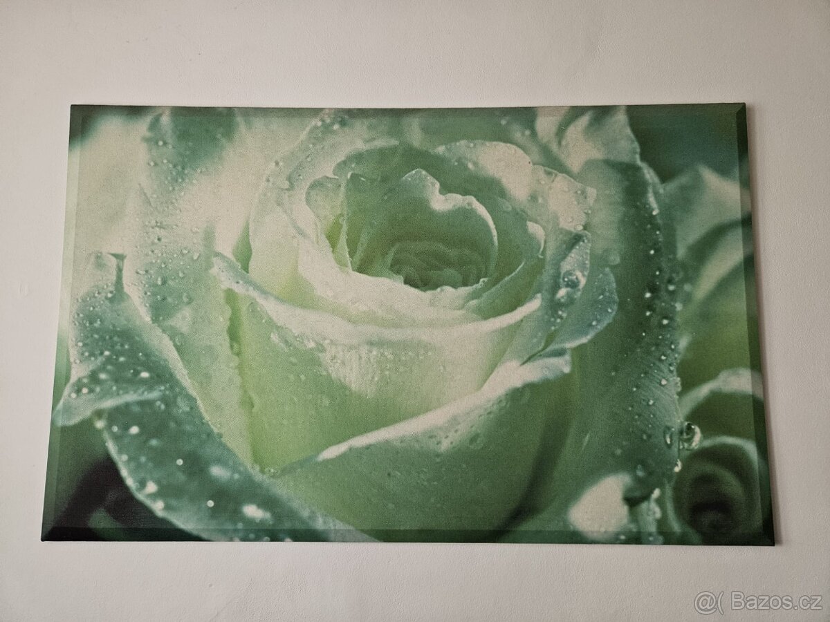 Fotoobraz rozměr 140x87cm.
