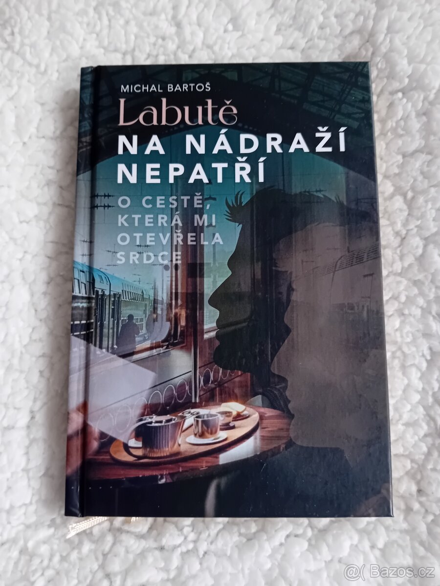 Labutě na nádraží nepatří