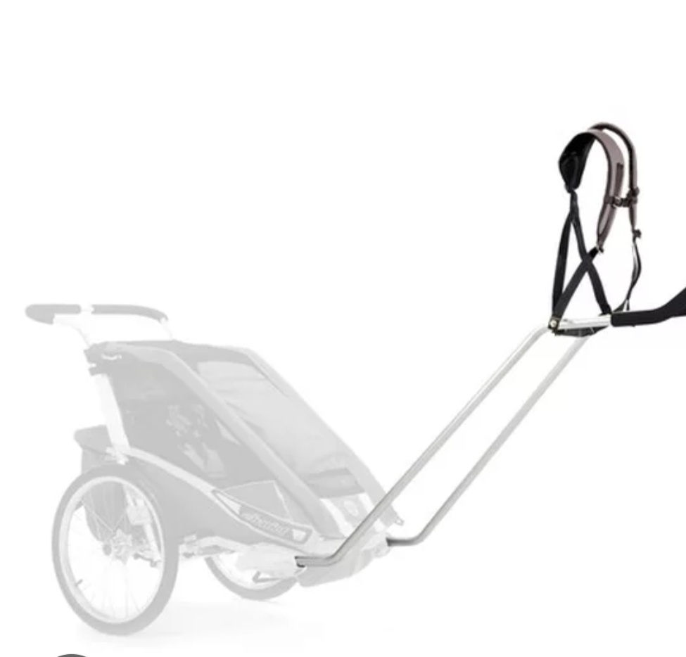 Nordic walking set chariot hiking set