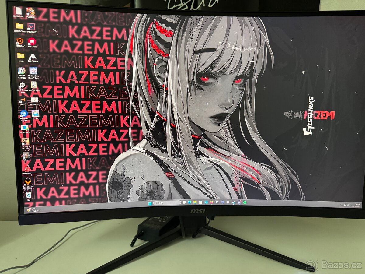 Monitor MSI