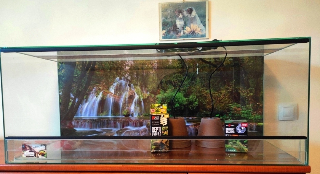 L nove vybavené 80x40x40cm terárium nové , polyuretanové poz