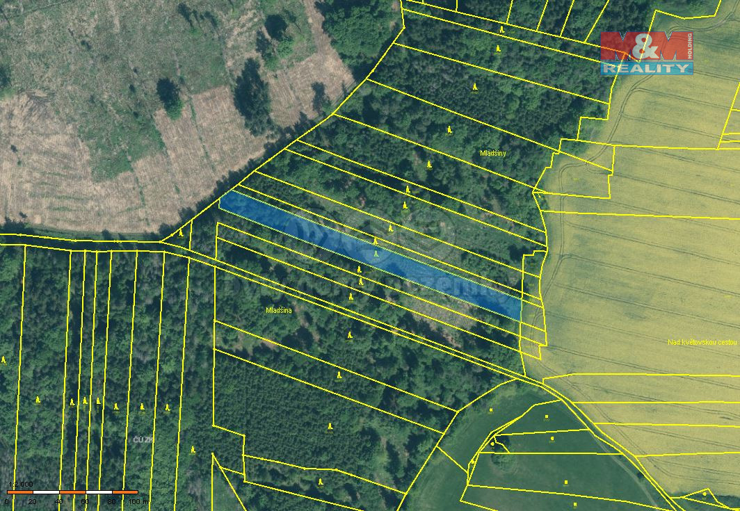 Prodej lesa, 4125 m², Stehlovice