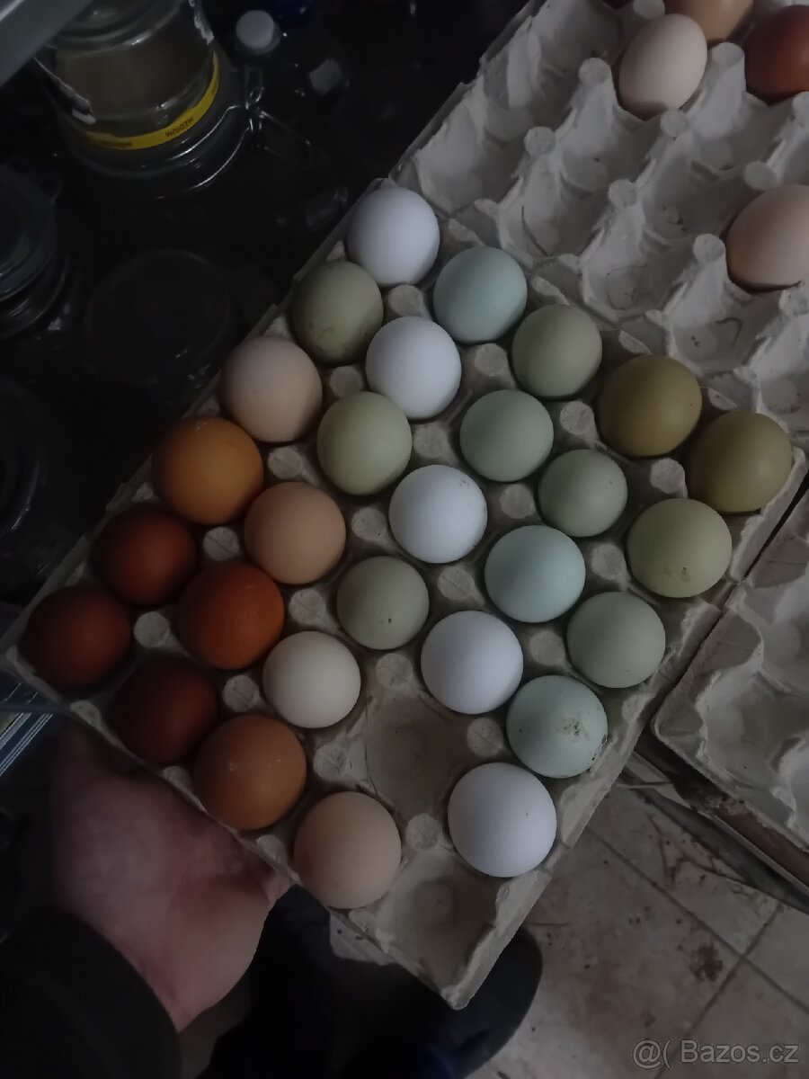 Barevná vajíčka NV