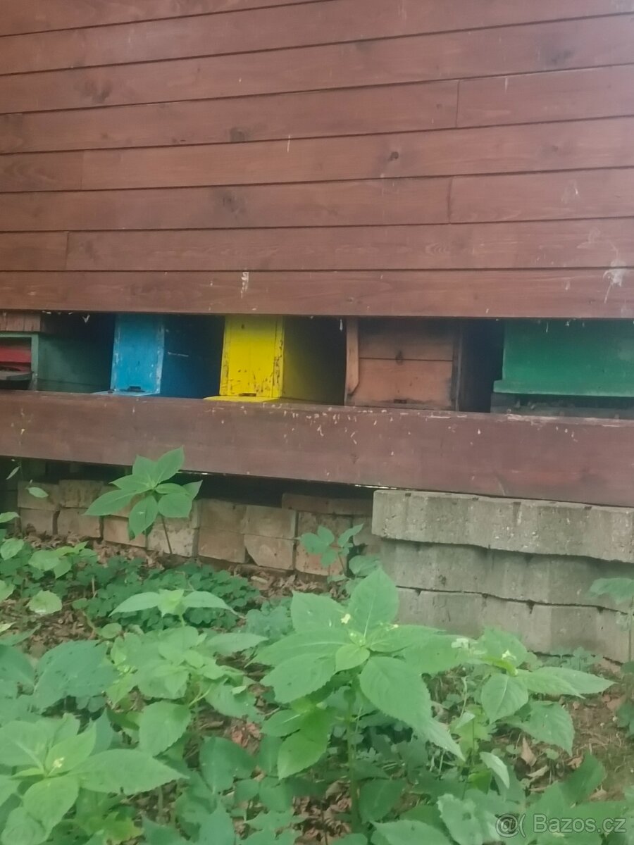 Prodám 3-5 rámkové oddělky