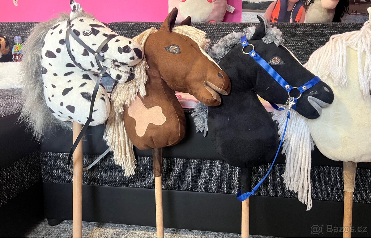 Hobby horse