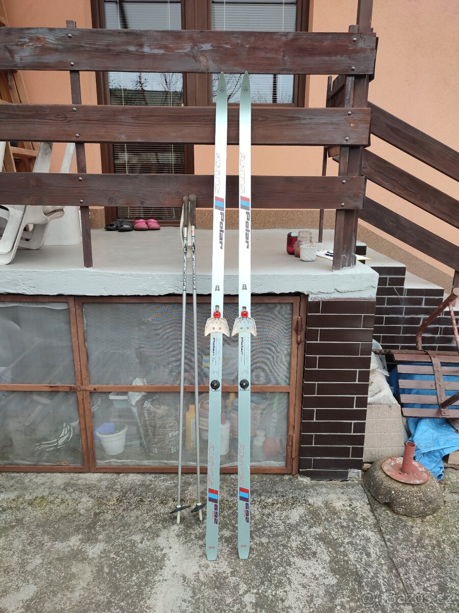 Retro běžky ARTIS Polar