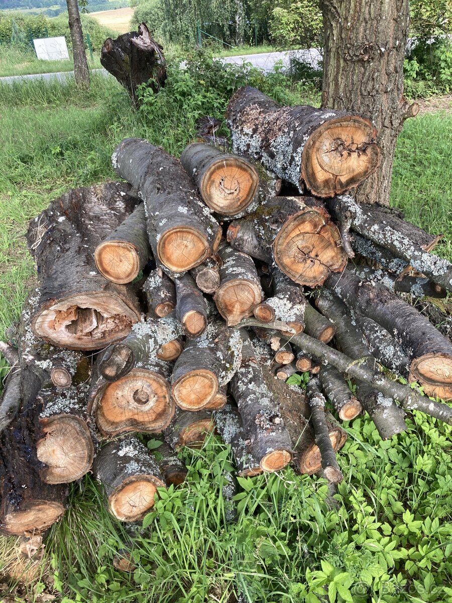 Třešňové dřevo