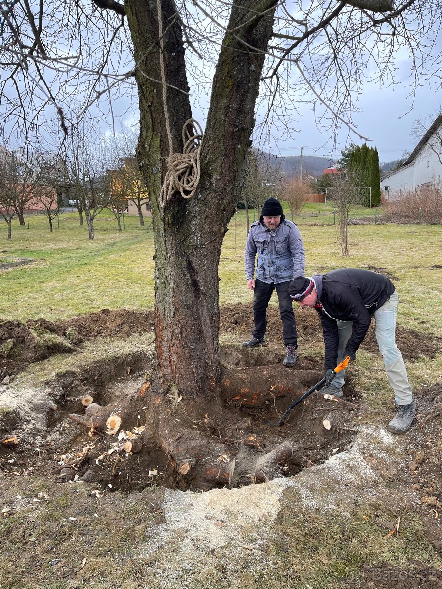 Kaceni rezani stromu, seceni travy a krovin
