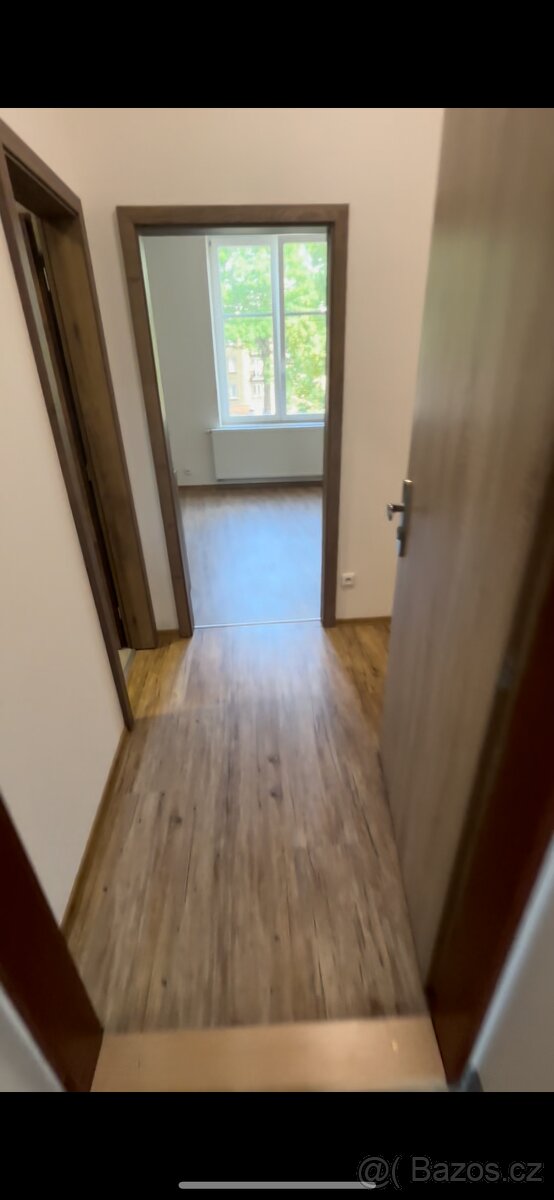 Pronájem bytu 2kk (59 m2)