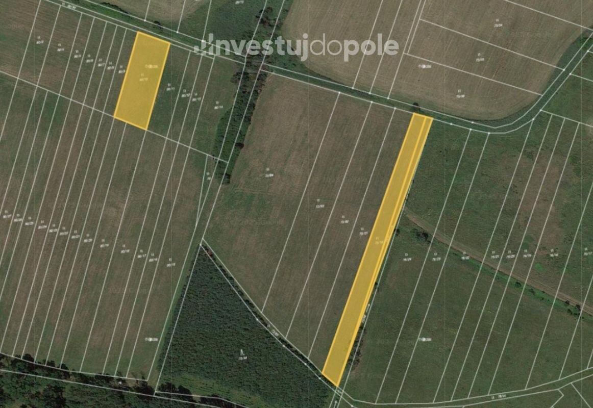 Prodej podílu 1/2 louky 2 604 m², Kladruby nad Labem - Koles