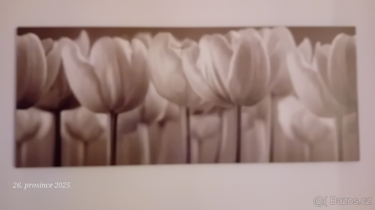 Obraz IKEA tulipany REZERVACE DO 30.6.