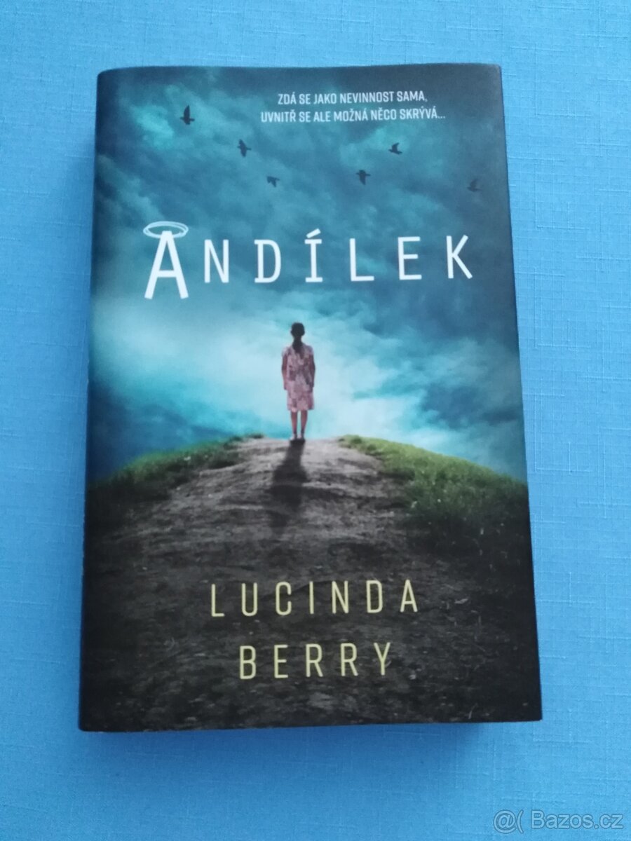 ANDÍLEK - Lucinda Berry