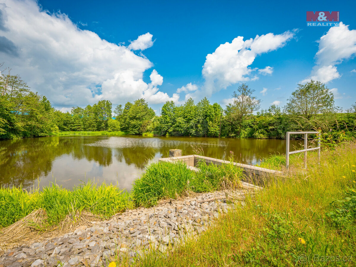Prodej rybníku s pozemky, 8010 m², Mitrovice - Mezno.