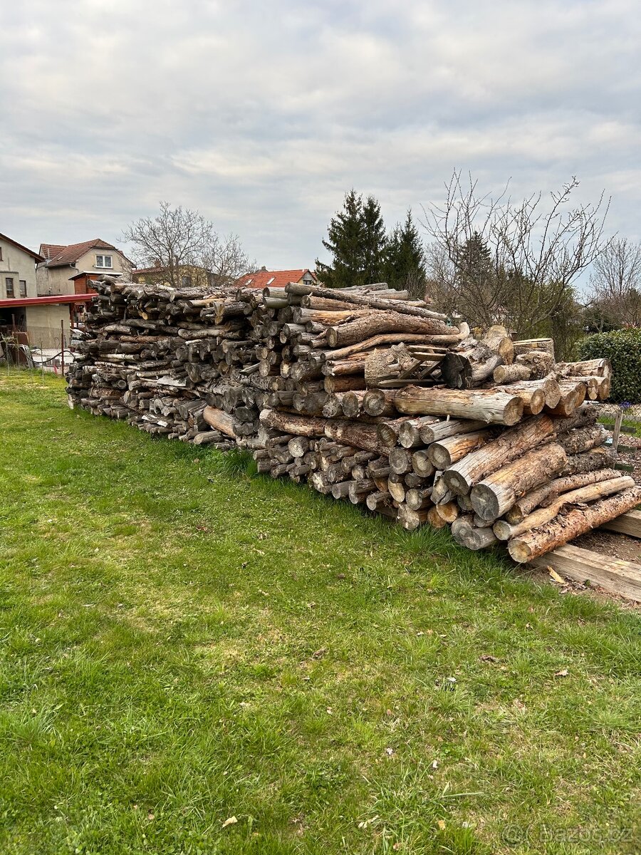 Palivové dřevo