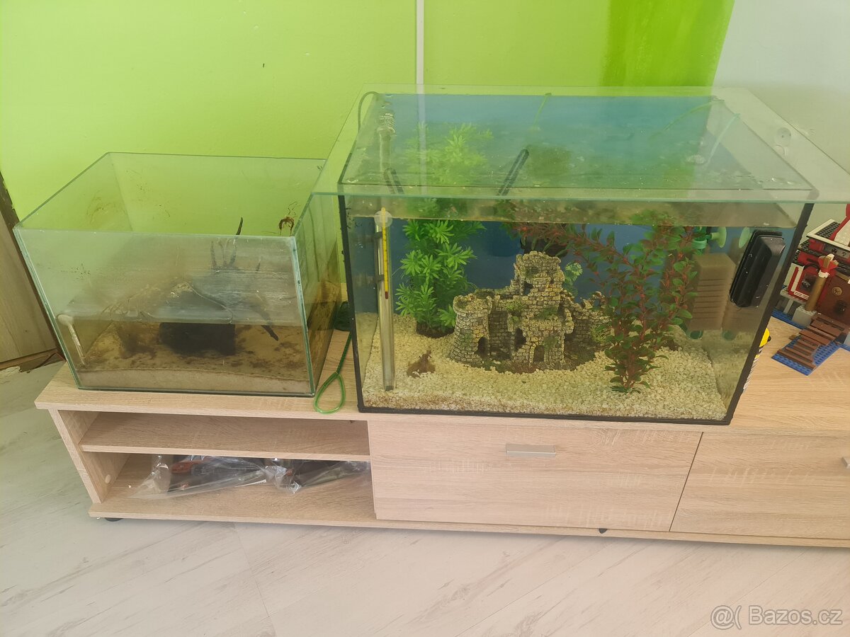 Prodám set 2xakvarium včetně vybavení a rybiček