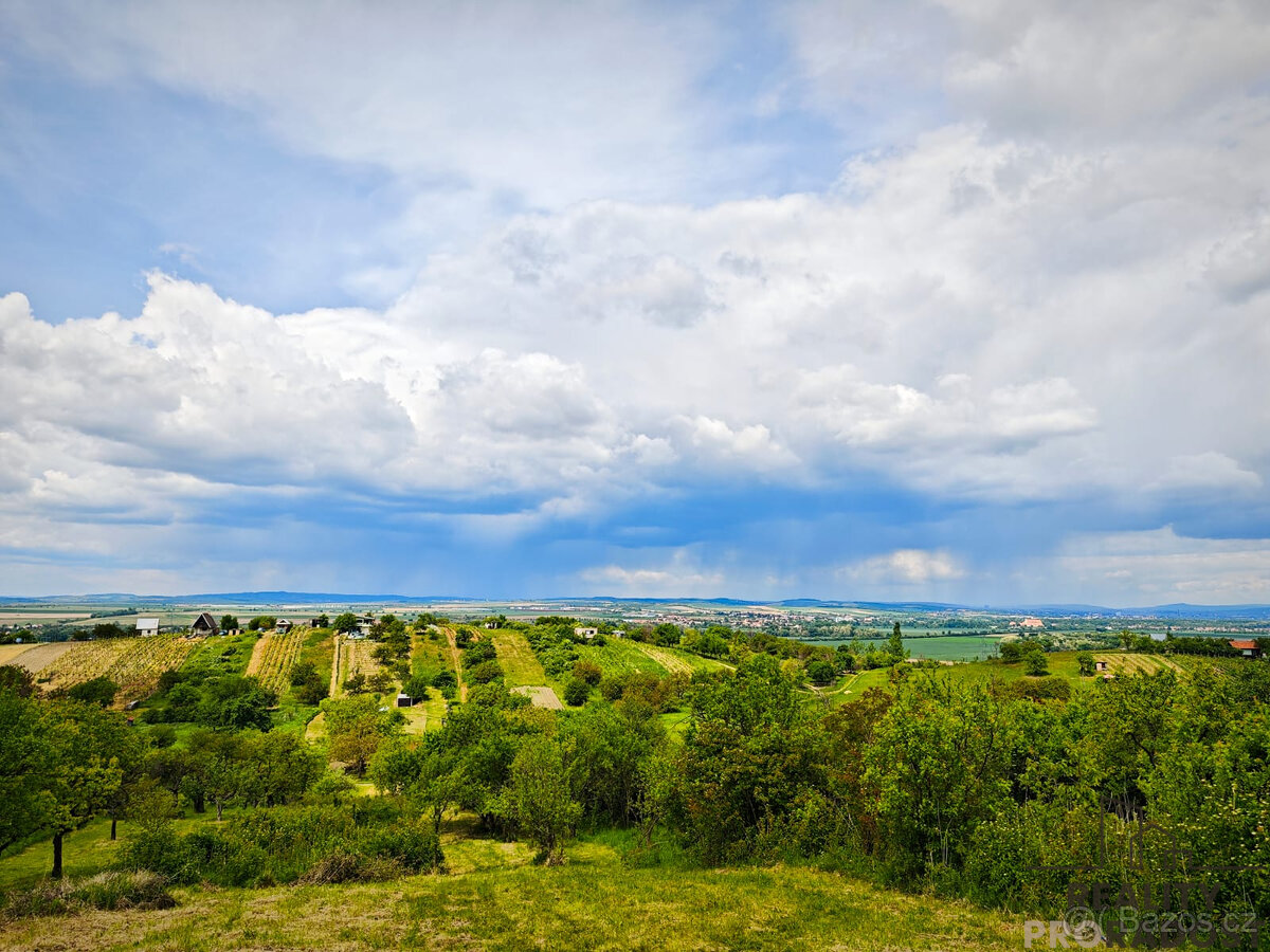 Prodej zahrady na okraji obce Blučina