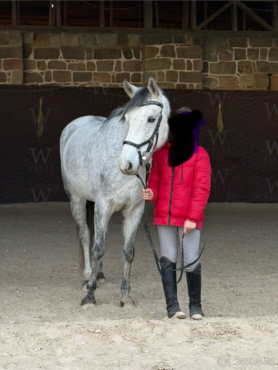 pony B rekreace sport