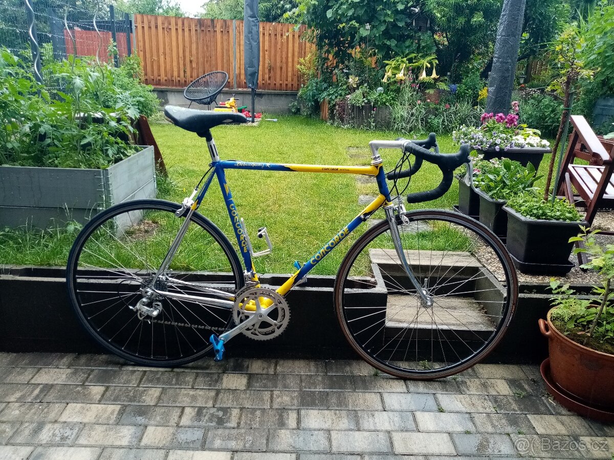 Kolo concorde