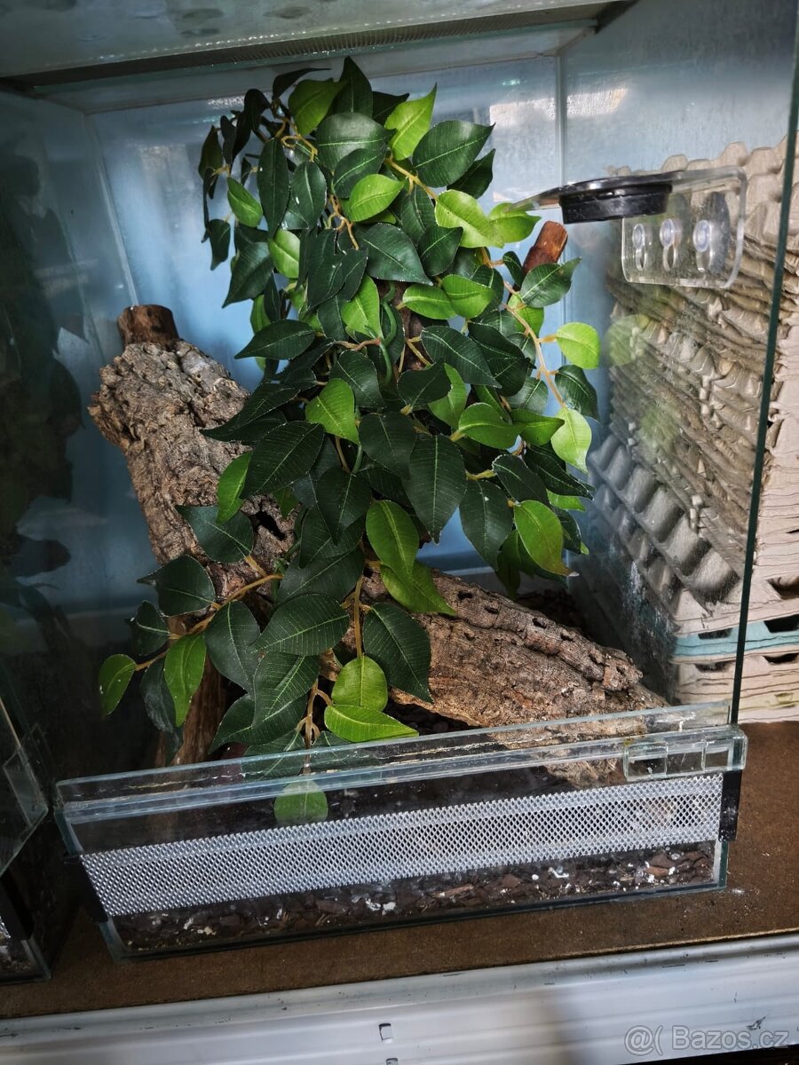Prodám 2 ks Terária