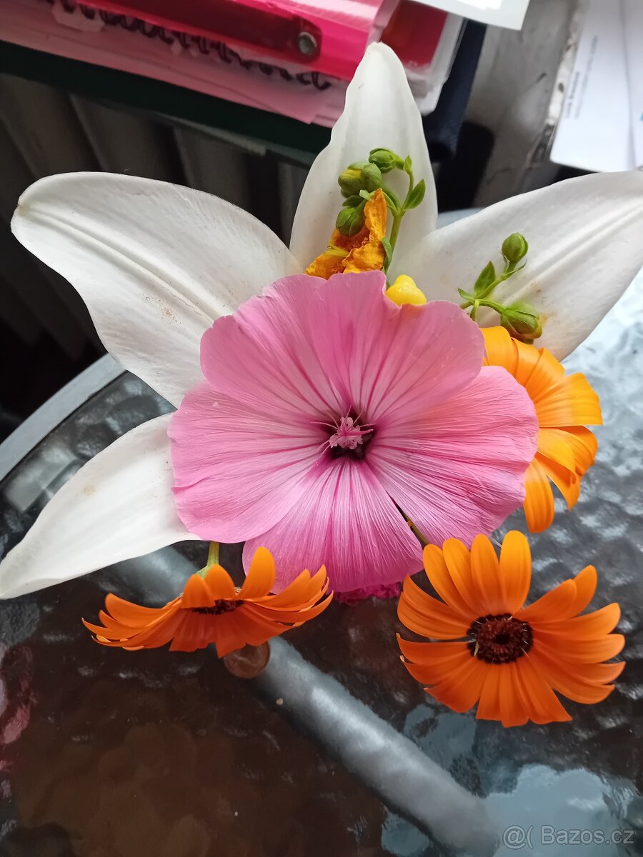 Pronájmu 2+1 v Opavě  bez realitky