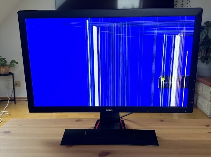 Poškozený BenQ GL2450-B - LCD monitor 24"