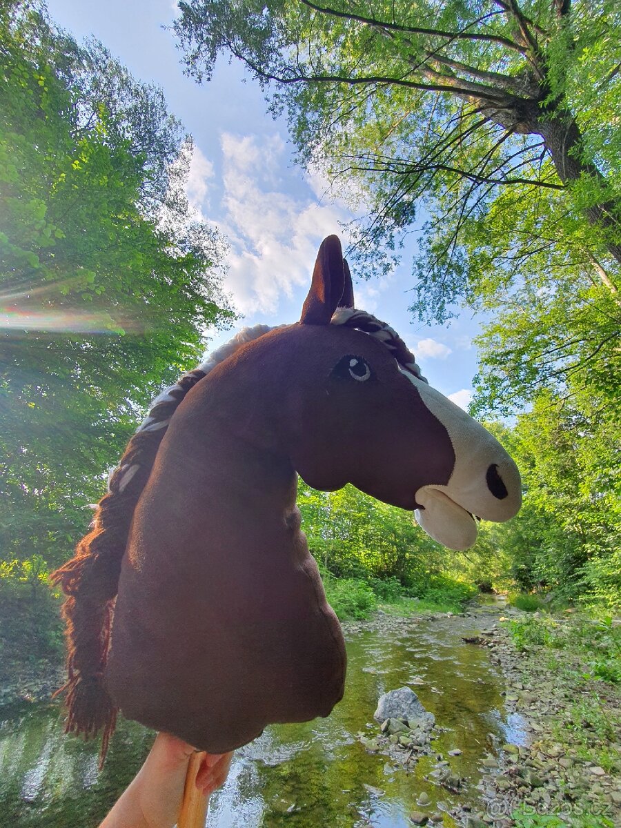 Hobby horse