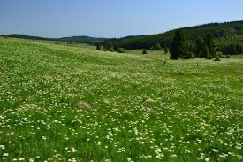 Stavebni pozemek Přelouč