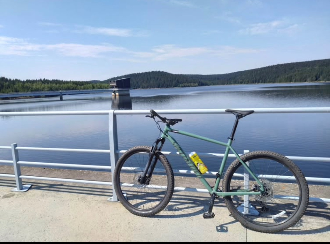 Specialized Rockhopper Elite 29